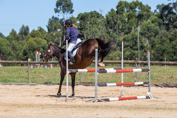 Equestrian Competition 15