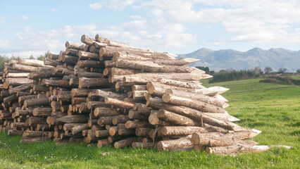 Montón de estacas de madera en campo de Asturias