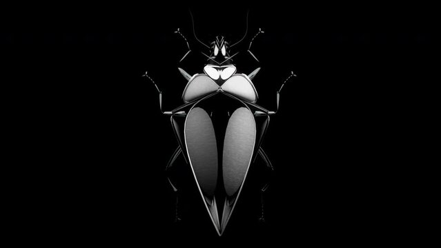 Black Metallic Abstract 3D Beetle