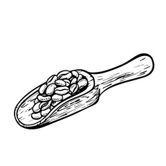 Wooden spoon with coffee beans. The vector black and white illustration is hand-drawn on a white isolated background. For printing, menus, postcards and packages. For banners, flyers and posters.