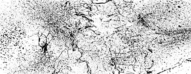 Scratched Grunge Urban Background Texture Vector. Dust Overlay Distress Grainy Grungy Effect. Distressed Backdrop Vector Illustration. Isolated Black on White Background. EPS 10.

