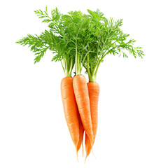 Carrots isolated on white transparent background.