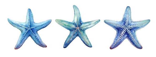 Starfish, watercolor clipart illustration with isolated background.