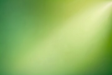 Fototapeta premium Green pastel background with sunshine glare.