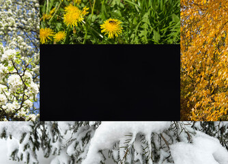 Collage of four seasons nature. Copy space. Nature background.