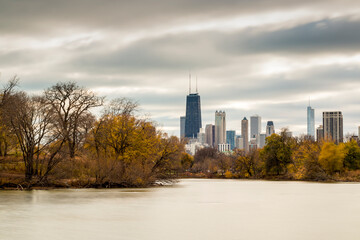 Chicago skyline skyscrapers as seen from the north pond  - obrazy, fototapety, plakaty
