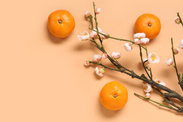 Sakura branch with mandarins on beige background. New Year celebration