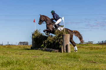 Equestrian Competition 22