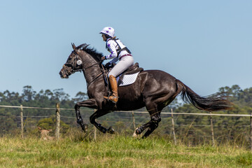 Equestrian Competition 27