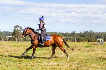 Equestrian Competition 31
