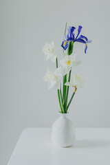 Bouquet of tender Daffodil (narcissus) and Iris flowers in a vase on a white table .