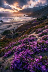 Purple flowers on hill, ocean at sunset. Clouds float in the sky