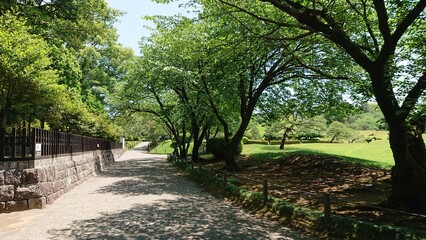 水前寺成趣園