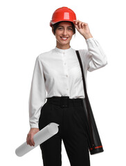 Architect with hard hat, tube and draft on white background