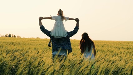 professional father carries little daughter shoulders while walking mother wife through wheat...