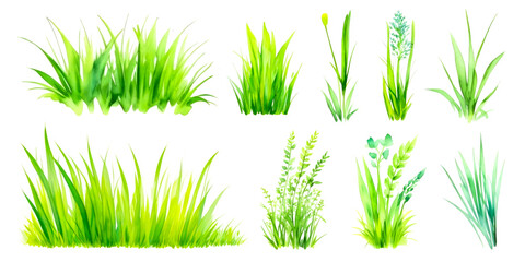 Fototapeta premium Set of Watercolor green lush grass for spring or summer decoration. Tufts of fresh plants in close up isolated on white. Collection of ecology outdoor blade elements growing in garden or meadows