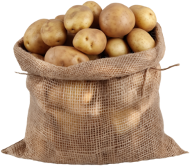 sack of potatoes