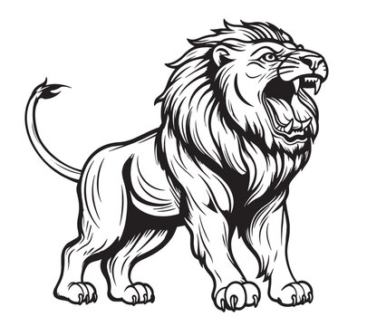 Head of roaring lion. Hand drawn illustration converted to vector Logo
