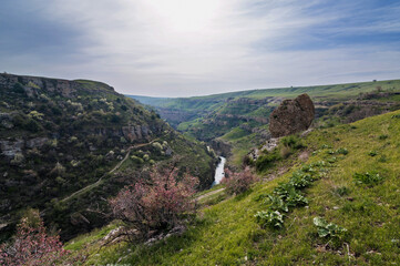 Fototapeta na wymiar Panoramic view of the Aksu canyon with a river in the rocks in spring in Kazakhstan