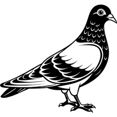 illustration of a pigeon silhouette vector art Illustration