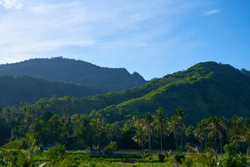 A view of tropical mountains and rice fields with palm trees on a sunny day.
