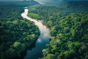 Aerial Photograph of River winding through the Jungle. Breath-taking Rainforest Background.