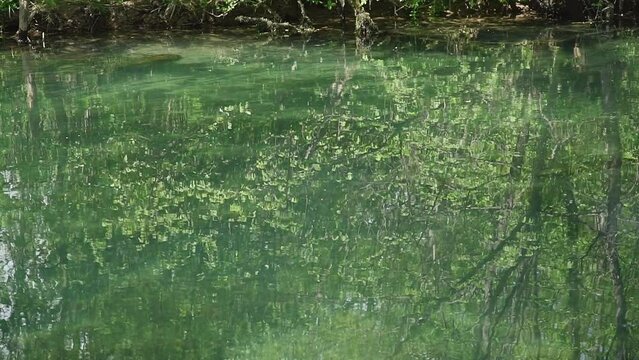 Rippling turquoise water of beautiful lake in woods in nature reserve