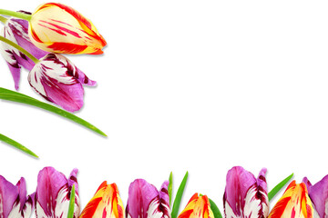 beautiful spring flower design frame for nature,religious,art,diwali,new year,hindu religious...