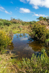 Water spring at Ronda Municipal Park in Sao Francisco de Paula, South of Brazil