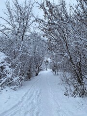 snow covered road