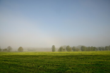 Fototapeta premium Das sanfte Licht Frieslands - Bäume im Morgendunst