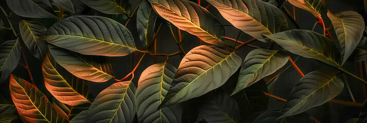 Vibrant Leaves in Natures Spectrum, Colorful Foliage Pattern, Beauty of Botanical Diversity