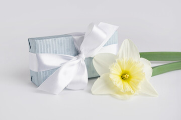 Gift box with daffodil flower on white background
