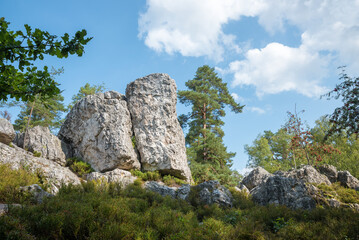 rocky quartz formation and blueberry shrubs, tourist destination geotope Grosser Pfahl, near...