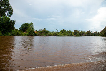 cauce del rio Klias en Borneo, hábitat del Mono narigudo (Nasalis larvatus)