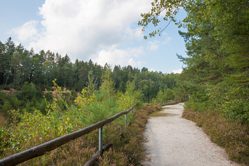 Fototapeta na wymiar hiking trail around stone quarry Grosser Pfahl, natural heritage Viechtach, lower bavarian forest