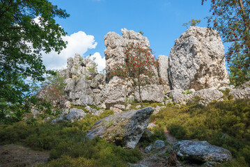 rocky quartz formation and rowan trees, tourist destination geotope Grosser Pfahl, near Viechtach