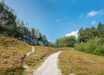 hiking trail near Viechtach, to Grosser Pfahl quarz formation