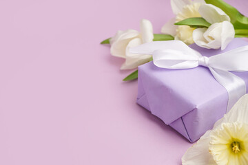 Gift box with beautiful tulips and daffodil flowers on lilac background