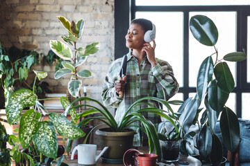 Beautiful cheerful plus size African American young woman enjoying life, singing, dancing while doing chores, cleaning, repotting home green plants, taking care about flowers
