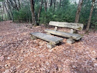 Rustic bench on the Ice Age Trail