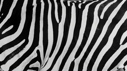 Rolgordijnen Wild Stripes: Classic Zebra Pattern © 대연 김