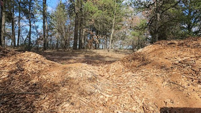 Walking through and on top of pile of mulch or oak wood chips while wearing jeans and leather boots  and black jacket in sunny day.