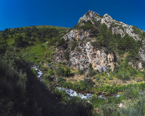 Obraz premium mountain stream river in the field in the gorge in summer
