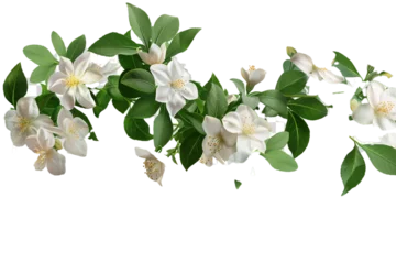 Poster lily of the valley this png file on transparent background © UMR