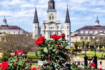 Rosa Trumpeter Overlooking Jackson Square in New Orleans 