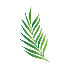 Leaves of tropical trees, ferns, exotic leaves, stamp, leaf shape, leaf stencils, color gradient, element, bright sticker, design with graphic symbols of the logo, the ability to change color and size
