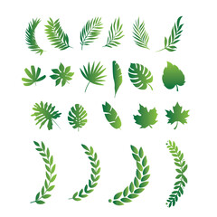 Leaves of tropical trees, ferns, exotic leaves, stamp, leaf shape, leaf stencils, color gradient, element, bright sticker, design with graphic symbols of the logo, the ability to change color and size