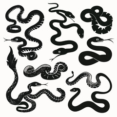 Snake silhouette set. Isolated snake silhouette on