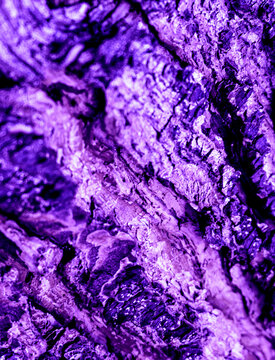 Abstract Purple Bark